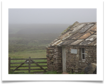 3. Damp Day on Hoy - Suzanne Gregory 3. Damp Day on Hoy - Suzanne Gregory